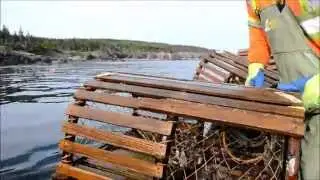 Season 60 - A Dory in Mira Bay
