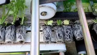 Did you know that the Agriplanters are equipped with a Smart Selector?