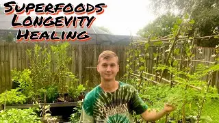 You can grow your own superfood store anywhere in the world!