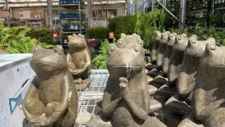 Spring time Shopping time! | Beautiful flowers with this Beautiful frog Statue | #springtime