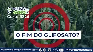 Milho Tiguera: Quando a cultura vira planta daninha 🌽🌿| Corte 326