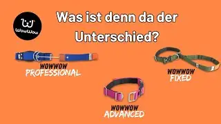 Die Unterschiede der WowWow Halsb&auml;nder mit integrierter Leine