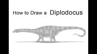 How to Draw a Diplodocus Dinosaur