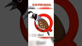 Q is for QUAIL Song #funny #viral #shorts
