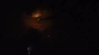 flight at night and kitty chasing the drone at end