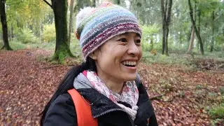 I had too much coffee! Autumn Walk at Hinton Ampner National Trust - Last Country Walk in 2020