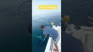 Massive Bluefin Tuna Beside the Boat! 🐟🔥#shorts #hook_fishing #tunafishing #usa #shortsfeed