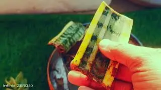 homemade poly house best updated result|farigardeningtips
