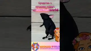 У нас новый питомец для ведения переговоров с ней любая коммуникация становится более выразительной.