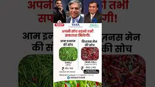 Business Idea | Profitable Business in 2026 | Dried Red Chilli (Sukhi Lal Mirch)
