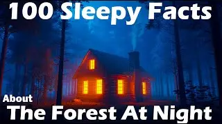The Forest At Night | Historical Sleep Story for Deep Sleep (Rain, Fire & Nature Sounds)