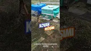 Kovan Nasıl Değişilir? // Arı kovanı değiştirmenin p&uuml;f noktaları 2023