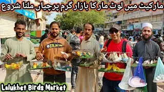 Lalukhet Sunday Birds Market 01-02-2026 Update | lalukhet birds market 2026 latest update @SYEDBIRDS