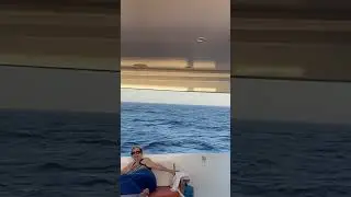 Почти целая неделя подряд была просто захватывающей! Дайвинг-тур на Красном море с компанией Empe...