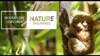 Exploring the Nature of the Philippines