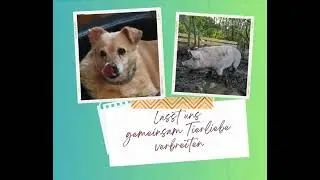 🐾Deine tierische wöchentliche Inspiration🐾