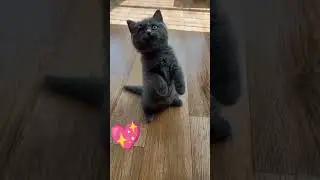 С Днём Рождения Плюша!!!🥳💖💗🎉