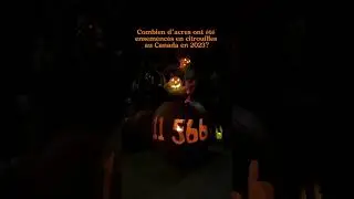 En mode citrouille cet automne! 🎃