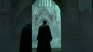 Nicholas Hooper ~ Harry & Hermione (Harry Potter Soundtrack) 🏰