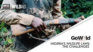 Nigeria&rsquo;s Wildlife Laws: The Challenges | GO WILD