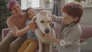 ¡El Perro de la Semana: Golden Retriever!