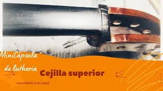 Cejilla superior mini Cápsula de lutheria.