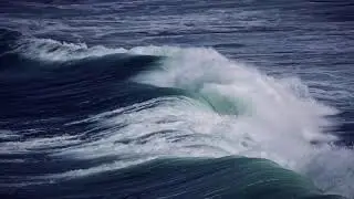 Finding Calm in Chaos