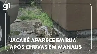 Fortes chuvas causam alagamentos em Manaus