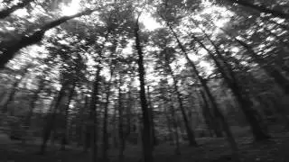 Freqax & Sinister Souls - Dead Man Walking