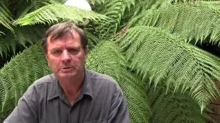 2015 ATV QSO Party VK3WWW Intro