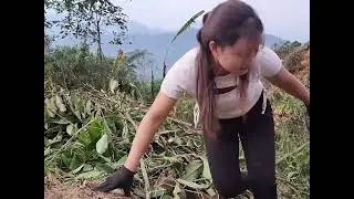 Woman Solo Doing Hard Work in Jungle | Village Timber Life Vlog ❤️