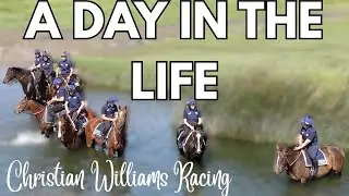 VISIT HORSE RACING TRAINER CHRISTIAN WILLIAMS | How we choose ex racehorses for eventing