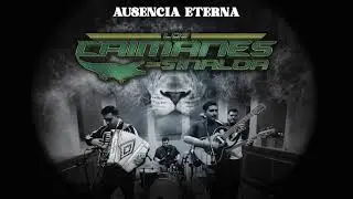 Los Caimanes De Sinaloa &ldquo;Ausencia Eterna&rdquo; (Letra/Lyrics) 2025