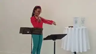 Give Love on Christmas Day - Violin Cover - Live at a Christmas Party