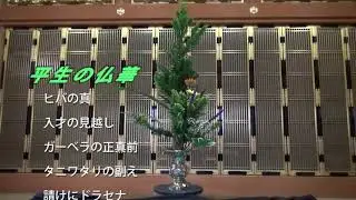 平生の仏華  ヒバの真を回転させました。