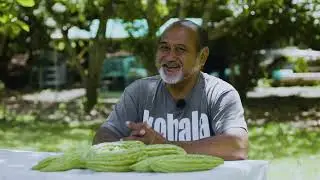 Kohala Backyard Revolution | David Fuertes | Kohala Oral History Project