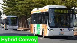 CDC Melbourne Hybrid Bus Convoy