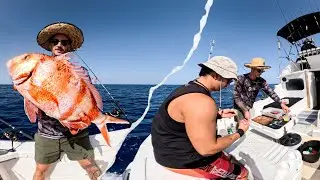 PESCANDO EN LA RESERVA MARINA! Variedad de especies y buena compañía! #fishing #jigging #canarias