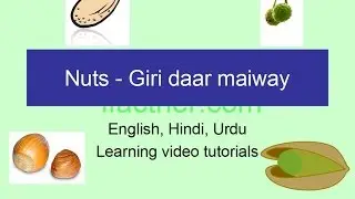 English vocabulary words with meaning in Hindi | Nuts