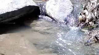 Exploring the beauty of yakhtangay shangla kpk
