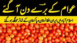Tomato Market Islamabad Become Expensive 🔥🔥 | Sabzi Mandi Islamabad | Tomato Prices Update Today 