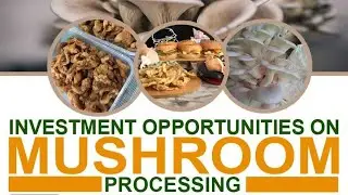 KADIWA Agribiz Webinar: Mushroom Processing