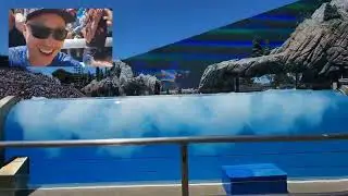 Splashed by an Orca at SeaWorld (director's view on galaxy 22 ultra)