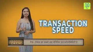 Wrapped Tokens Part-2 | Hindi | Tip of the Cryptoberg | 3.0 TV
