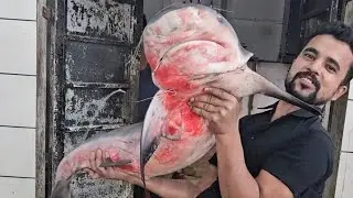 Sonu Khan is live best fish cutting skills kerala