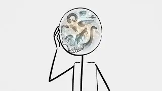 What if humans turned into animals every 12 hours?