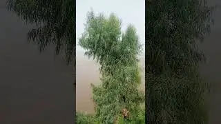 16 June 2025, Afternoon, the second day after Bunir Flood,  Kabul and Indus River confluence point.