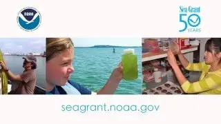 Sea Grant: Science Serving America's Coasts