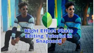Night Effect Photo Editing in Snapseed