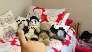 Dorm Room Tour! After